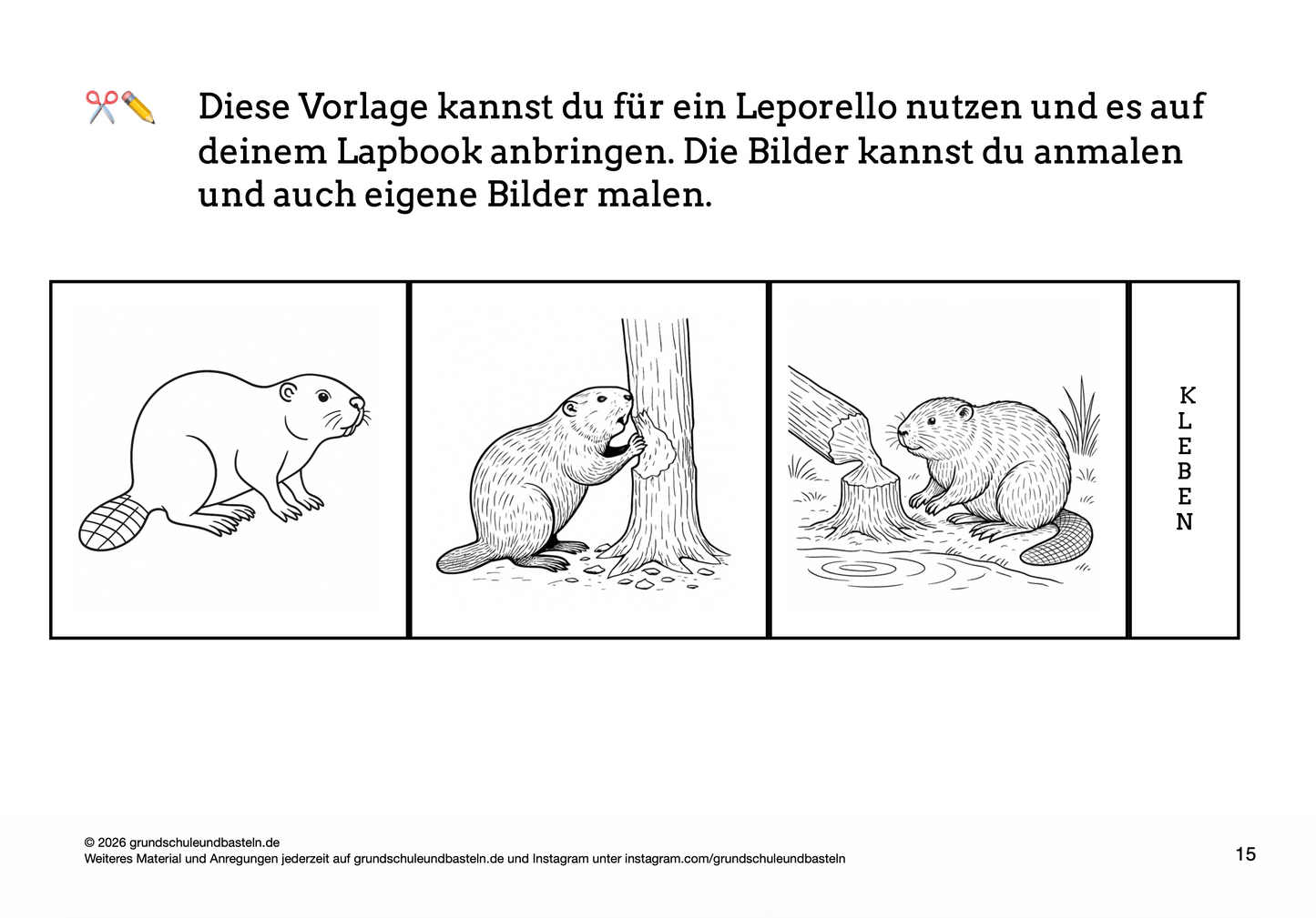 Lapbook: Biber