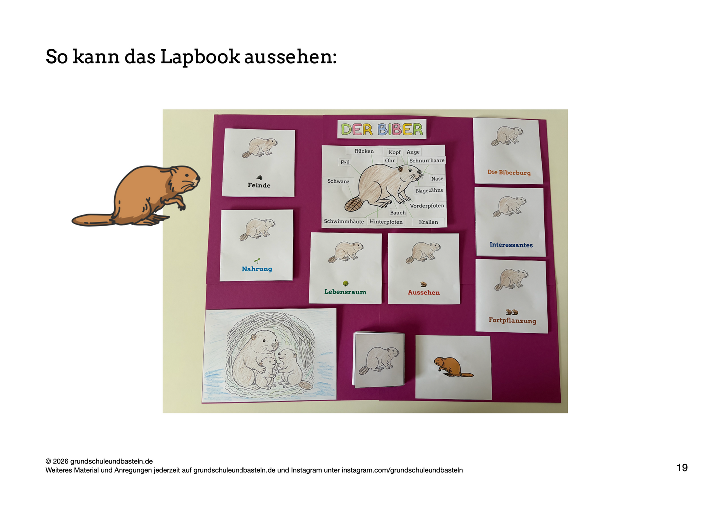 Lapbook: Biber